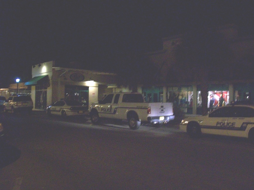 picture of police cars lined up at the curb